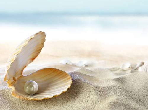 珍珠诞生记:来自海洋的恩赐