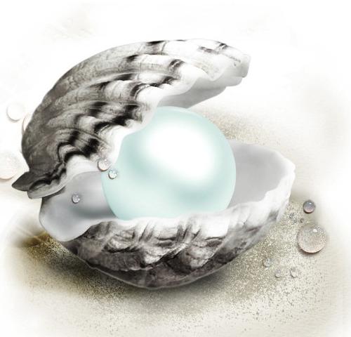 天然珍珠和养殖珍珠是怎样形成的