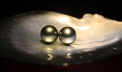 珍珠的主要四大品种都有哪些