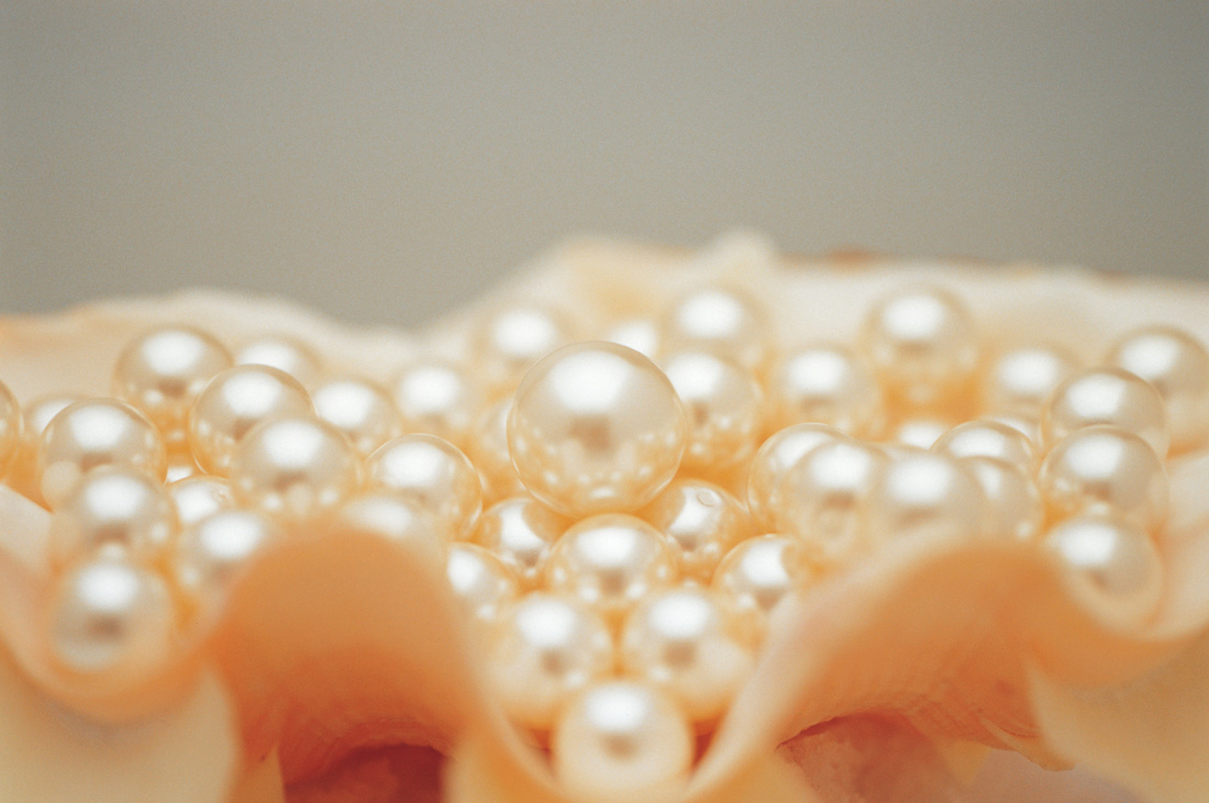 珍珠是最能体现女子端庄典雅的一种宝石