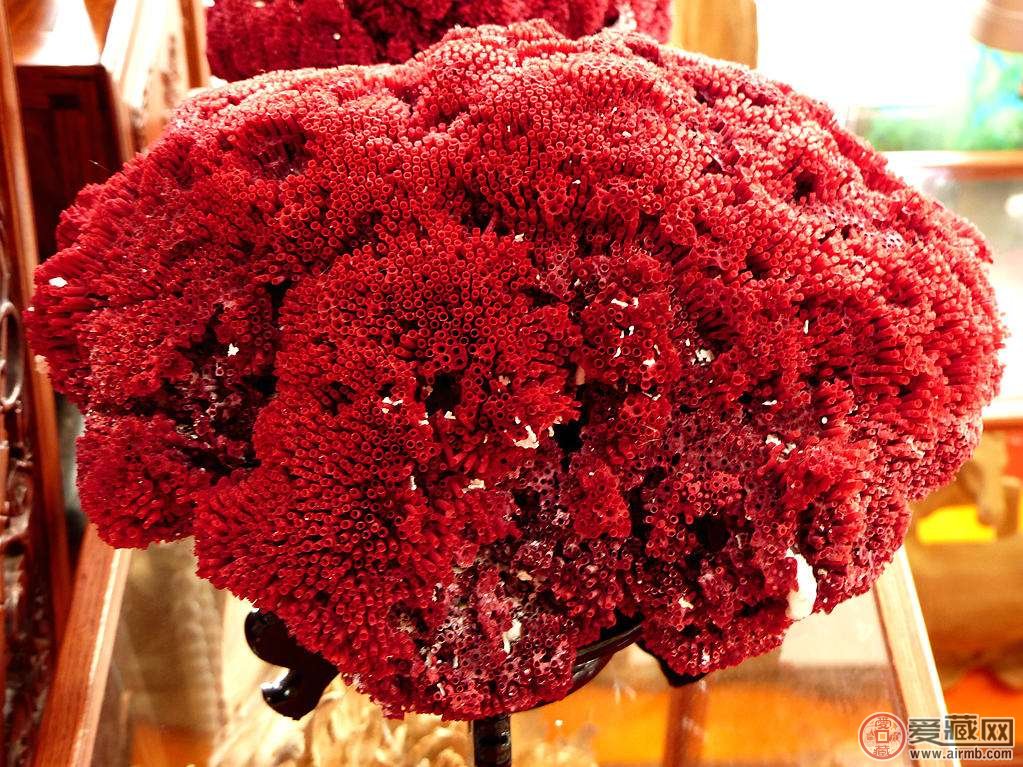 哪些颜色的红珊瑚价值不菲