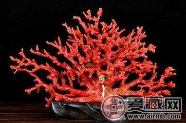 红珊瑚价格跟什么有关