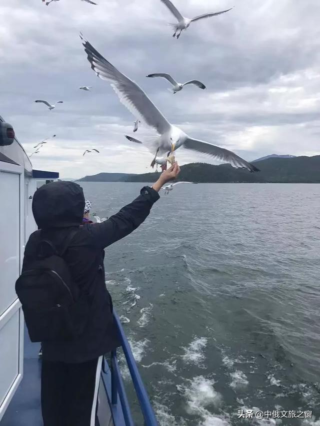 贝加尔湖畔的碧玉之灵,贝加尔湖旅游体验如何？值得去吗？