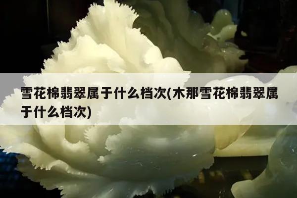 木那雪花棉翡翠属于什么档次-雪花棉翡翠属于什么档次