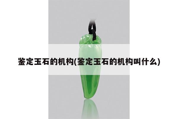 鉴定玉石的机构叫什么-鉴定玉石的机构