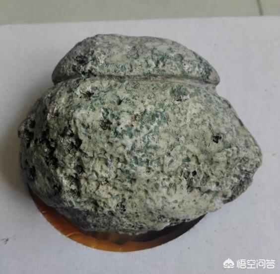 免费网上石头鉴定,怎样鉴定一块石头是否为化石？