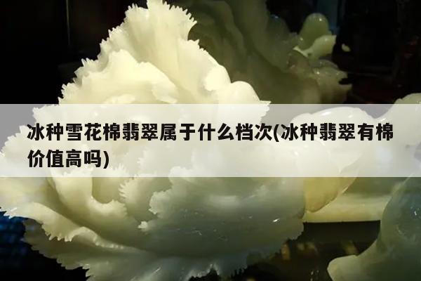 冰种翡翠有棉价值高吗-冰种雪花棉翡翠属于什么档次