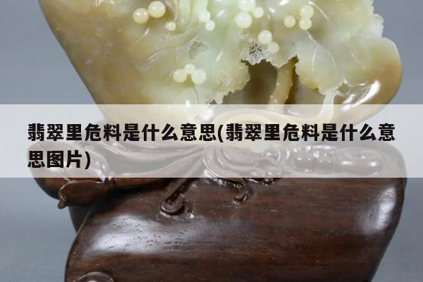 翡翠里危料是什么意思-翡翠里危料是什么意思