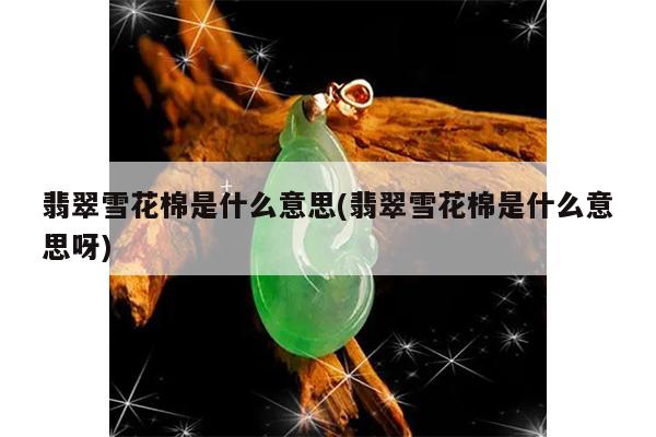 翡翠雪花棉是什么意思呀-翡翠雪花棉是什么意思