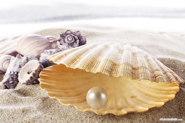 海水珍珠好还是淡水珍珠好？海水珍珠和淡水珍珠对比