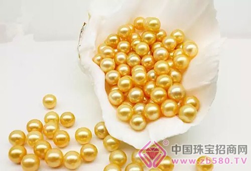 珍珠知识：金色珍珠是天然的吗？