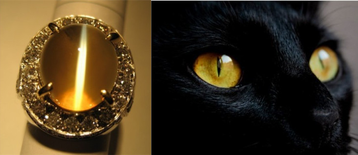 阳美翡翠交易网天价的灵性之石—金绿猫眼