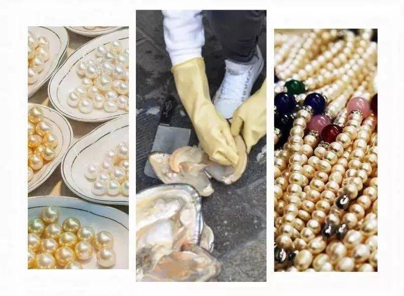 如何辨别翡翠的真假瞧不起淡水珍珠？一颗能卖240万！是时候为它正名了……