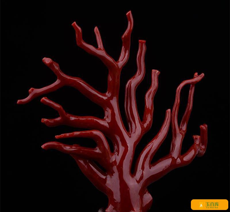 如何选购一件有升值空间的红珊瑚？(图3)