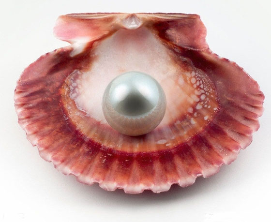 南洋珍珠、Akoya珍珠、大溪地珍珠 那个产地的珍珠好？