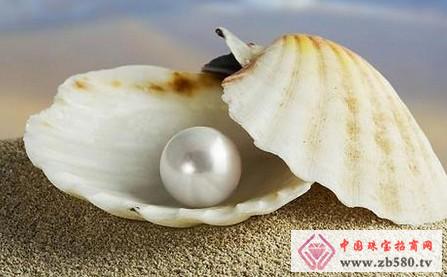 海水珍珠与淡水珍珠区别