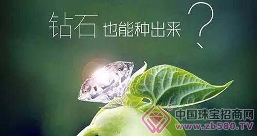 “种出来的钻石”或将引发中国消费新趋势-第1张图片-冰筹网