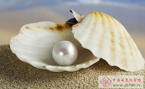 详述淡水珍珠与海水珍珠的不同