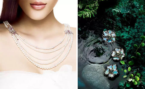 黑珍珠or白珍珠，哪个更好？