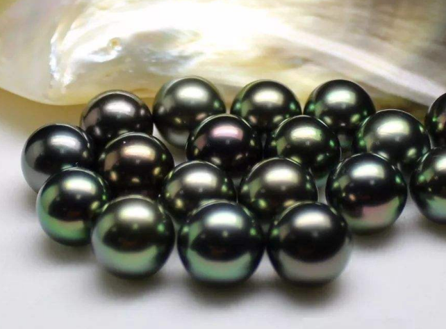 黑珍珠：颗价数千尚有上涨空间