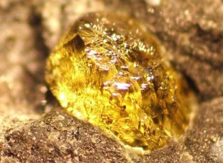 巴西捷那发现罕见“棕色钻石”