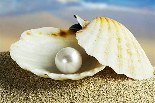 简介世界最有名的十颗珍珠