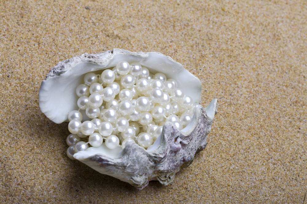 什么是海螺珍珠