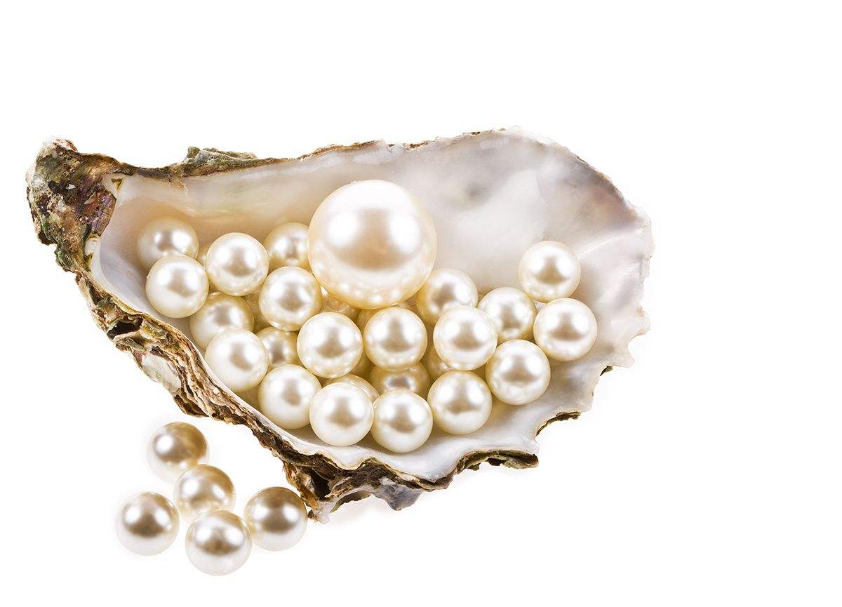 珍珠的外形特征你知道多少